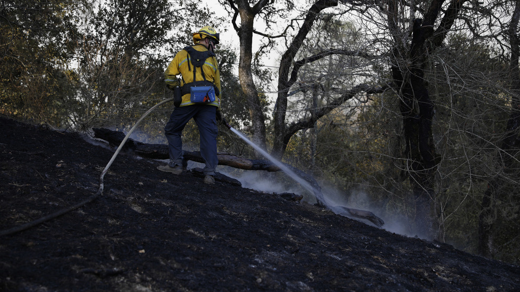    фото: Li Jianguo/XinHua/Globallookpress