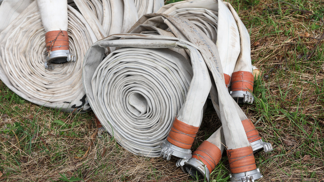    Petrov Sergey/news.ru/Globallookpress