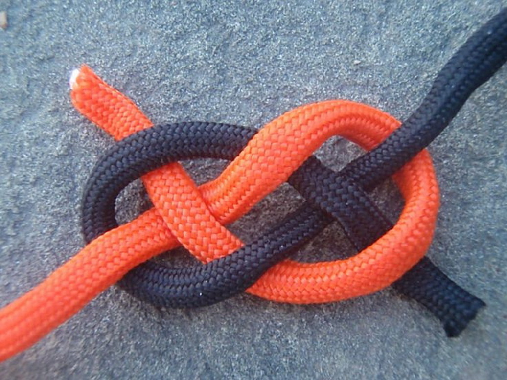 Фото: Яндекс картинки