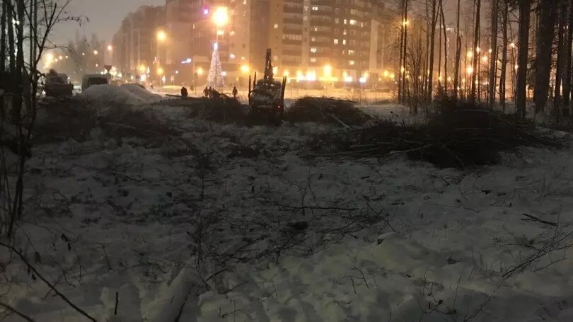     Источник: Весь Петрозаводск | Карелия