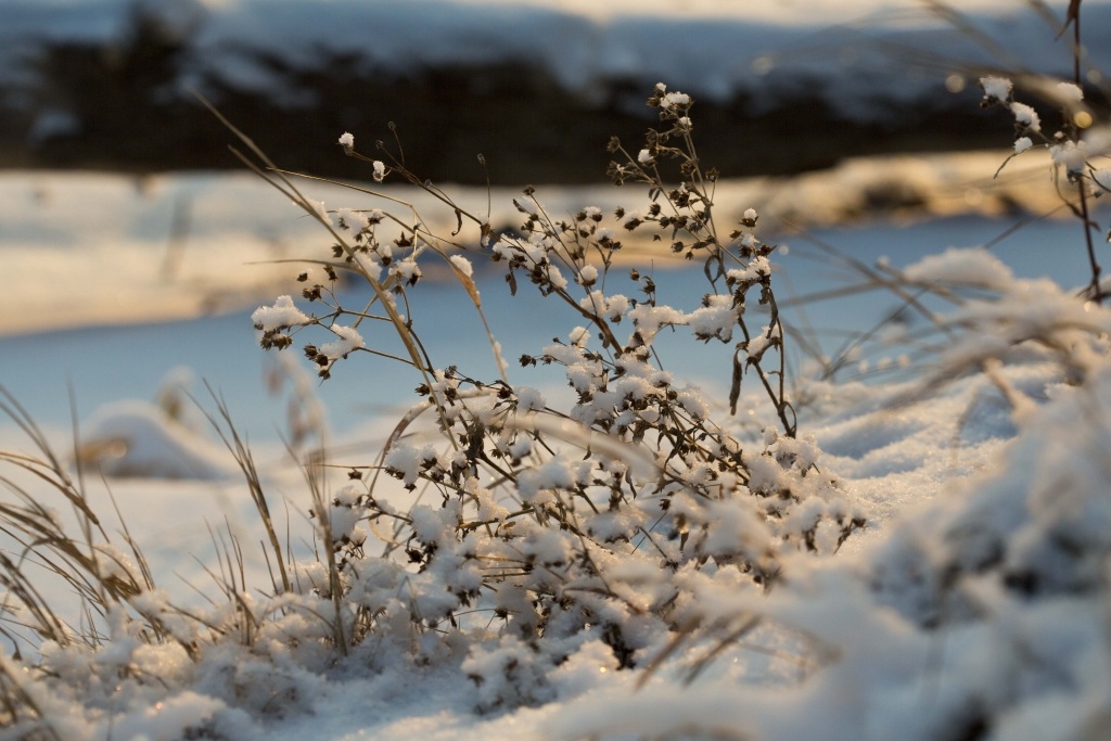    На берегу Ханты-Мансийска спасатели нашли тело пропавшего человека