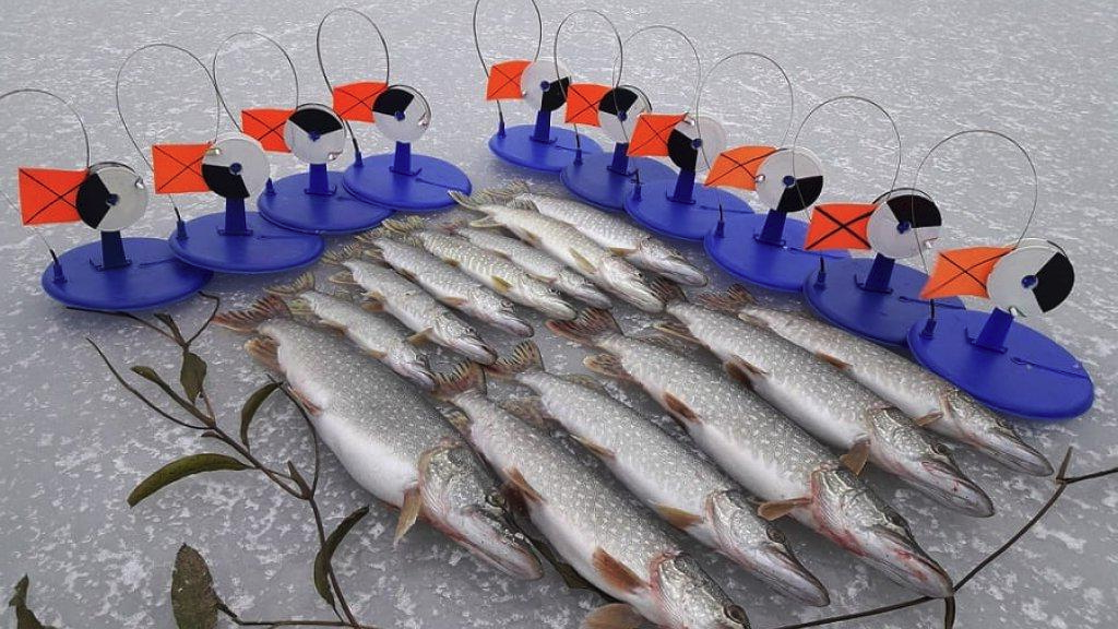 Ловля щуки на жерлицы бывает удачной в январе