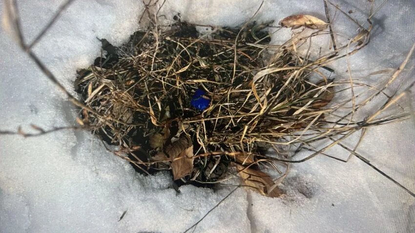    Фото предоставлено пресс-службой ДП области