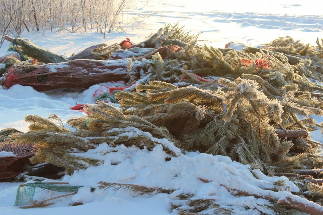 Фото: Сергей Пересторонин, ИА "Тюменская линия"
