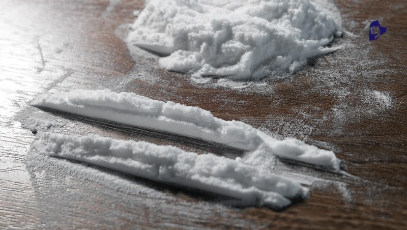      Фото: ИА «Победа26»