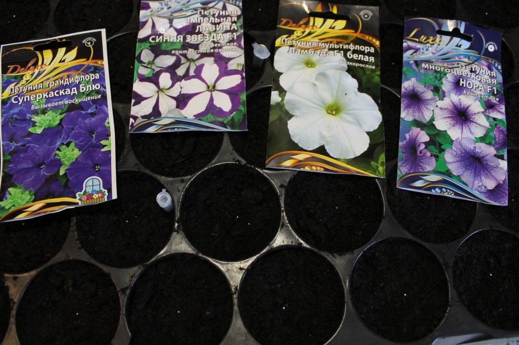  Выбирайте семена проверенных производителей