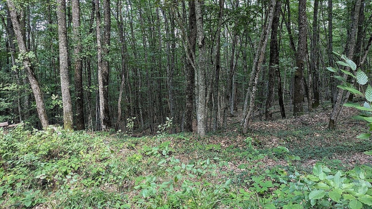    Фото: телеканал «Краснодар»