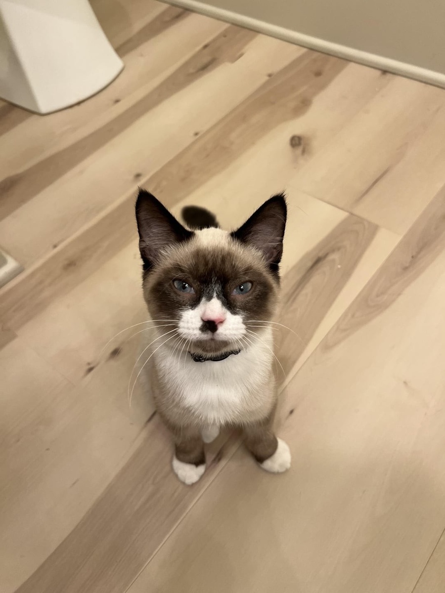 Источник: redd.it