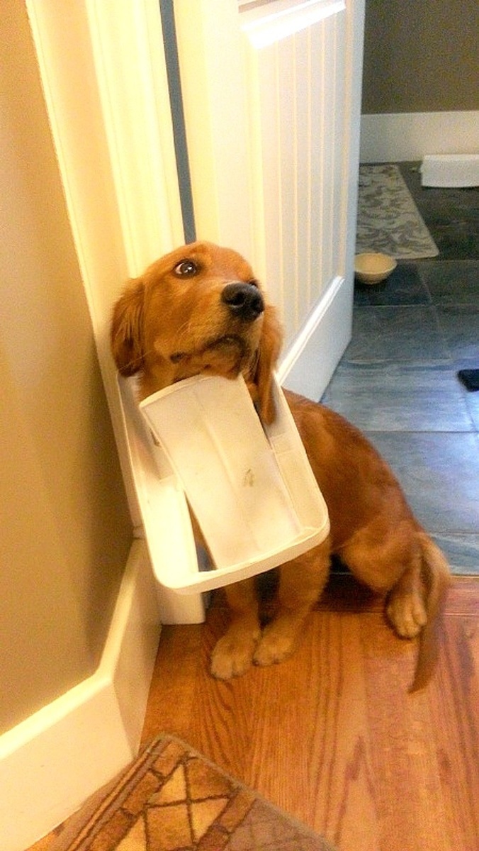 Источник: onedio.com