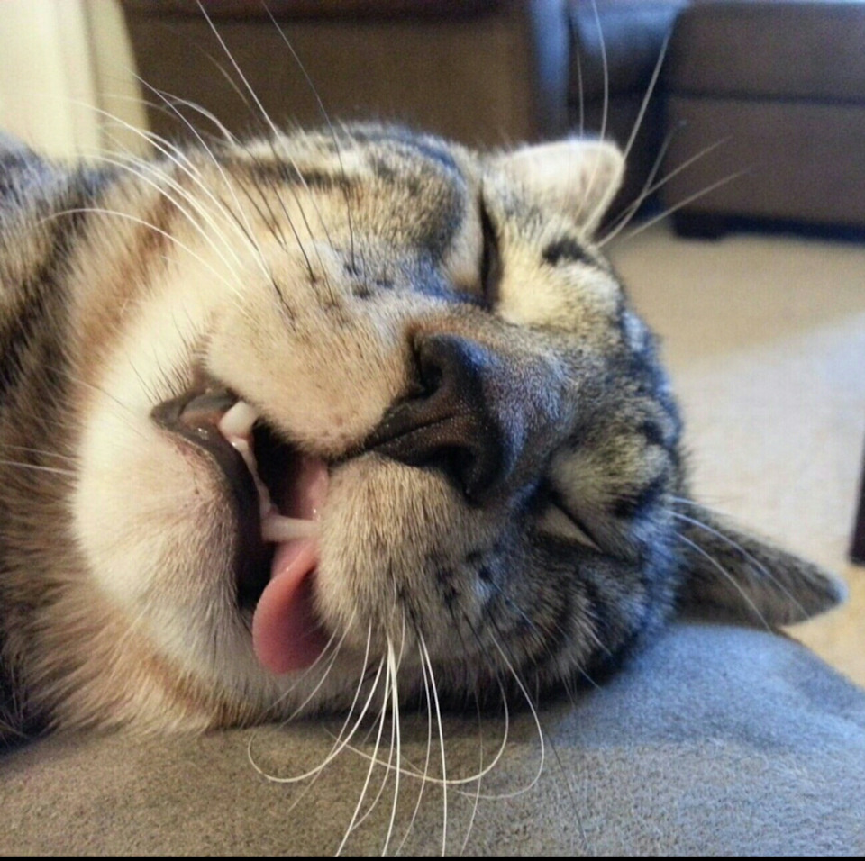 Из свободных источников