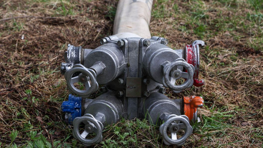    Petrov Sergey/news.ru/Globallookpress