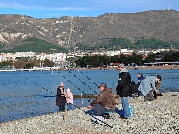    Фото: Юрий Серебренников/BFM Кубань
