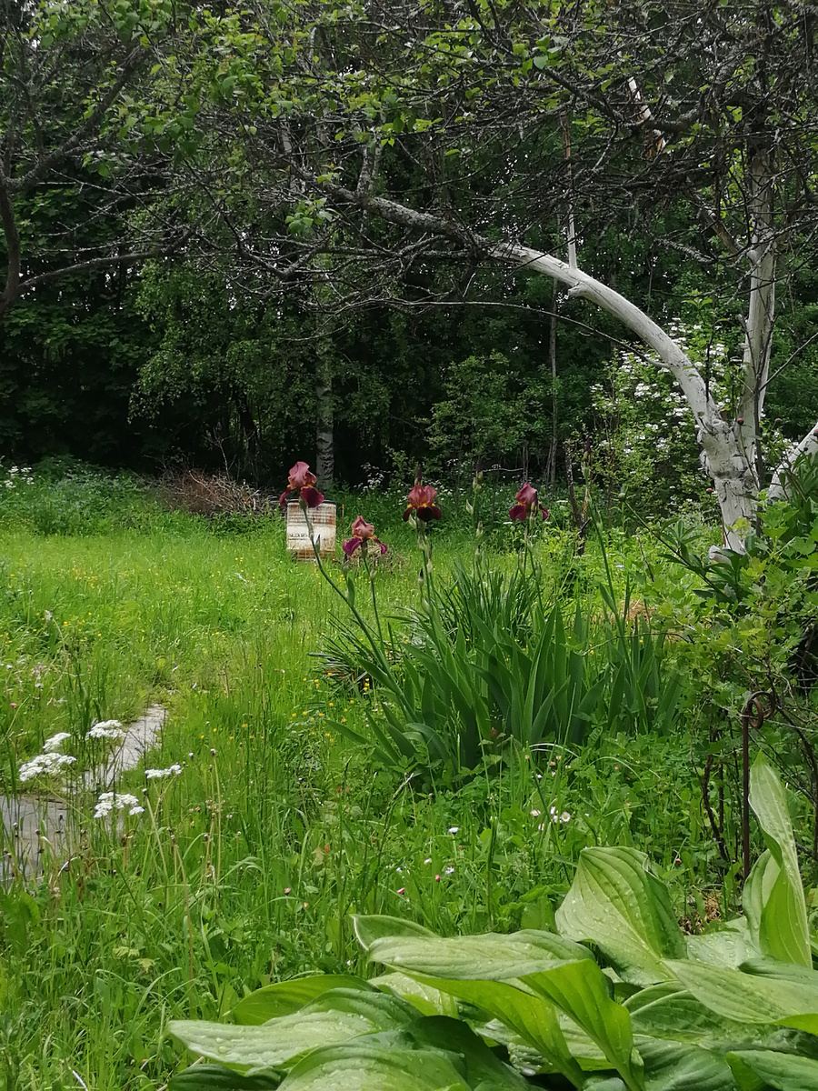 Гладенький, зачищенный ствол.