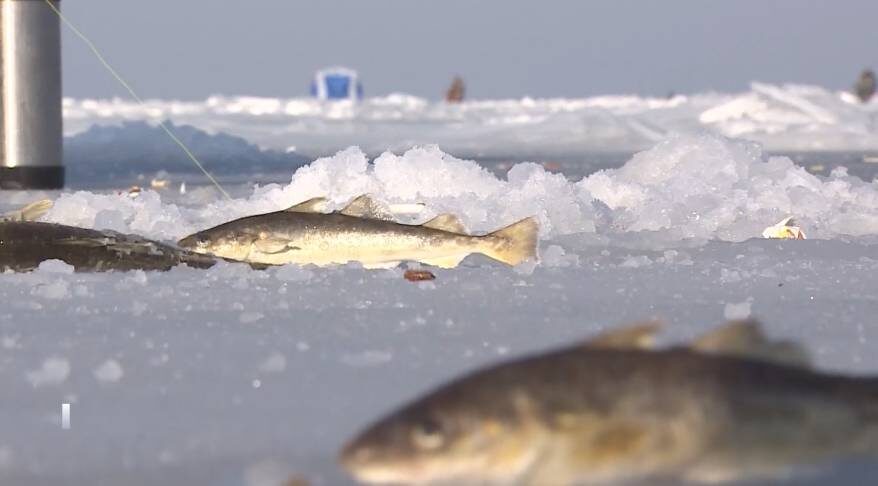    Источник фото: