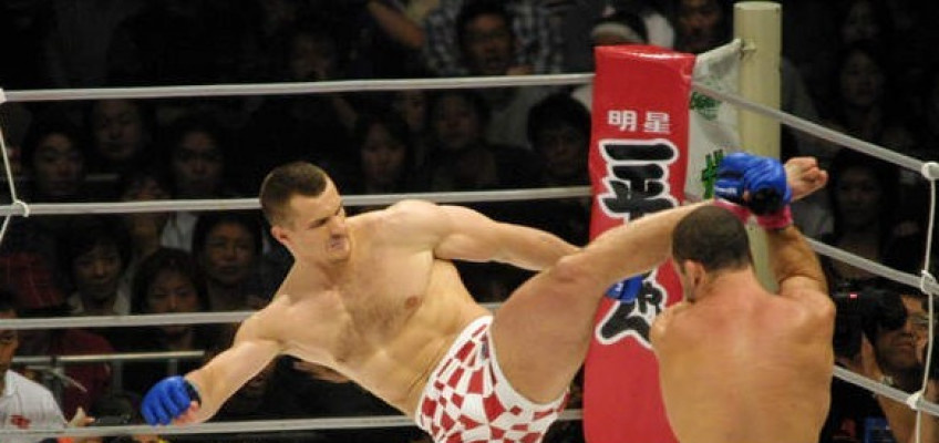 Хайкик - фирменный удар Крокопа. Источник фото: mmajunkie.com