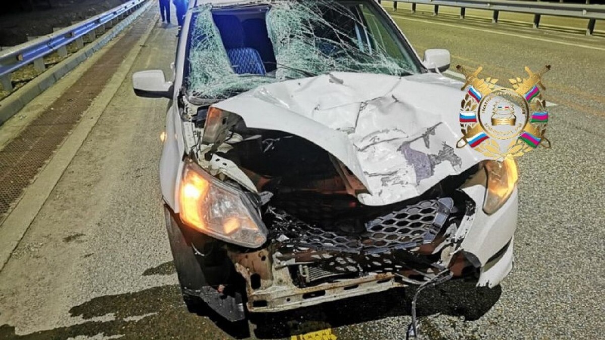    Фото: Госавтоинспекция Кубани