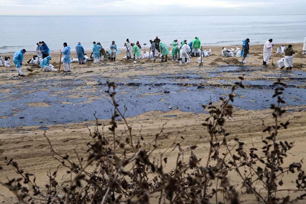 Фото: ТАСС/Дмитрий Феоктистов