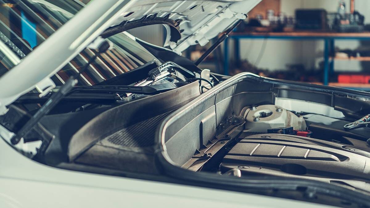    Фото: Shutterstock