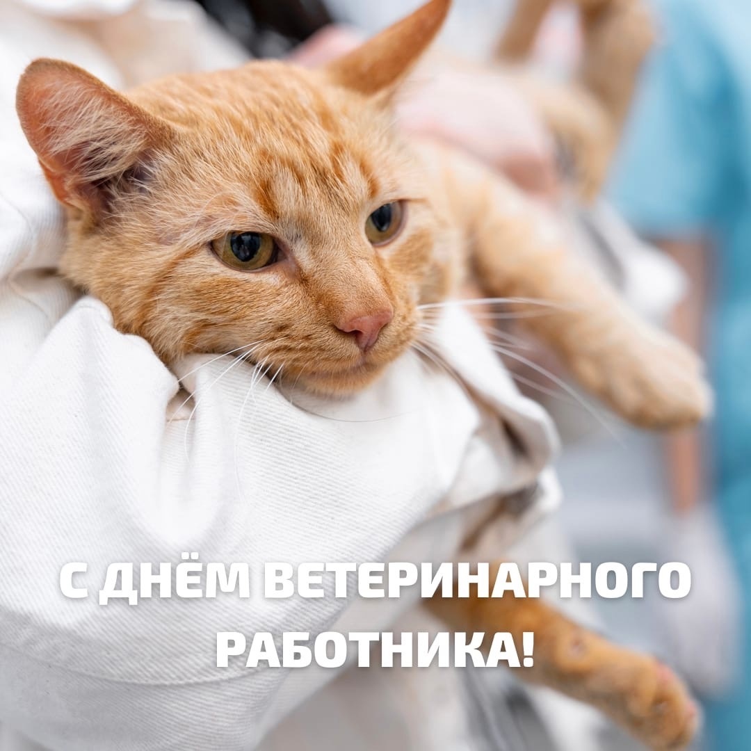 День ветеринарного работника