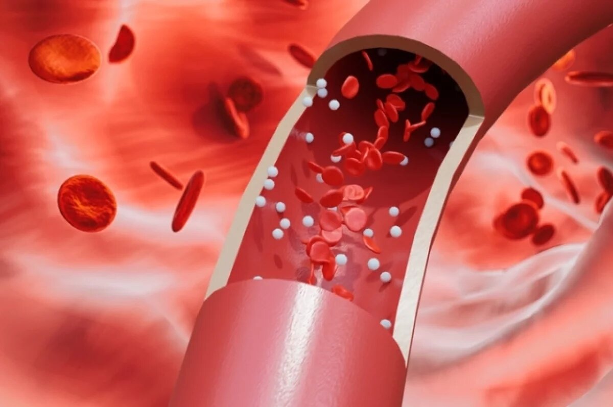    Новосибирский студент разработал оборудование для выращивания сосудов