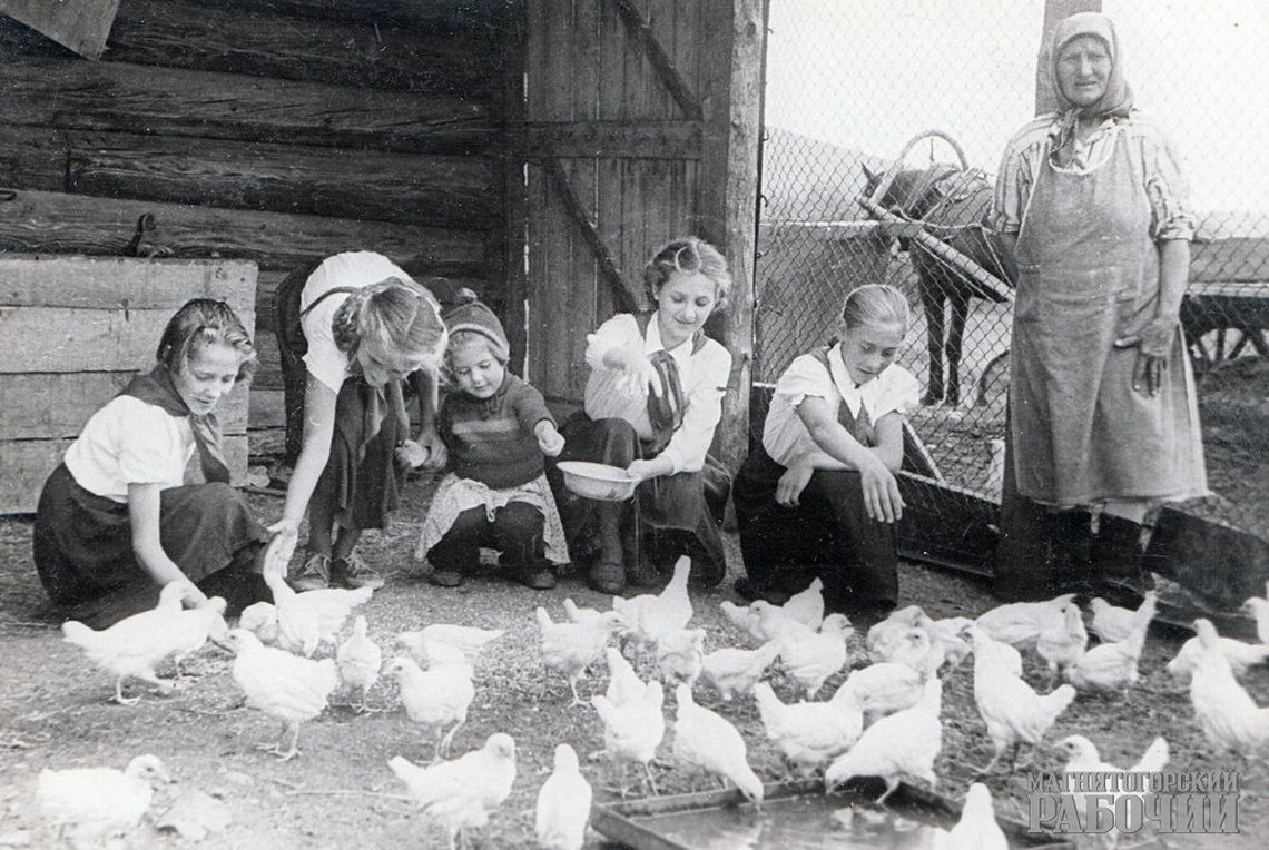 Истончик mr-info.ru