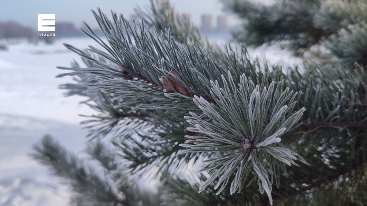     Синоптики обещают красноярцам на выходных снег, ветер и температурные перепады