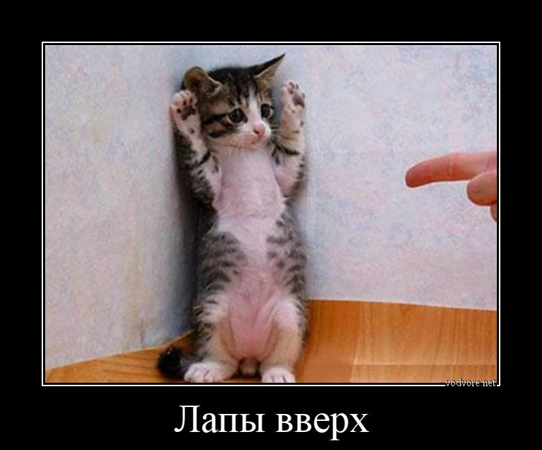 источник Яндекс-картинки