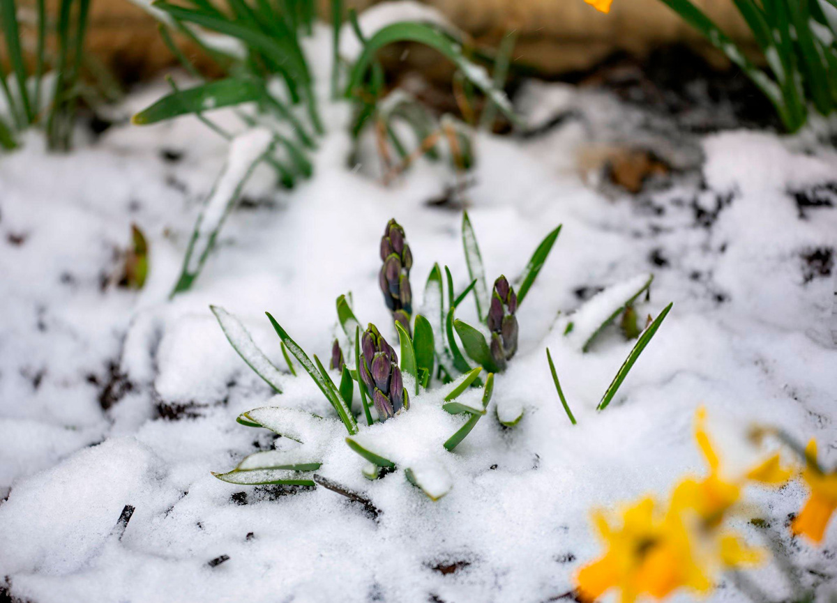 Зимняя красота.