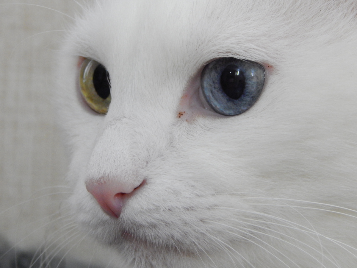 Тихон бдительно следит за порядком, в том числе и в финансах)