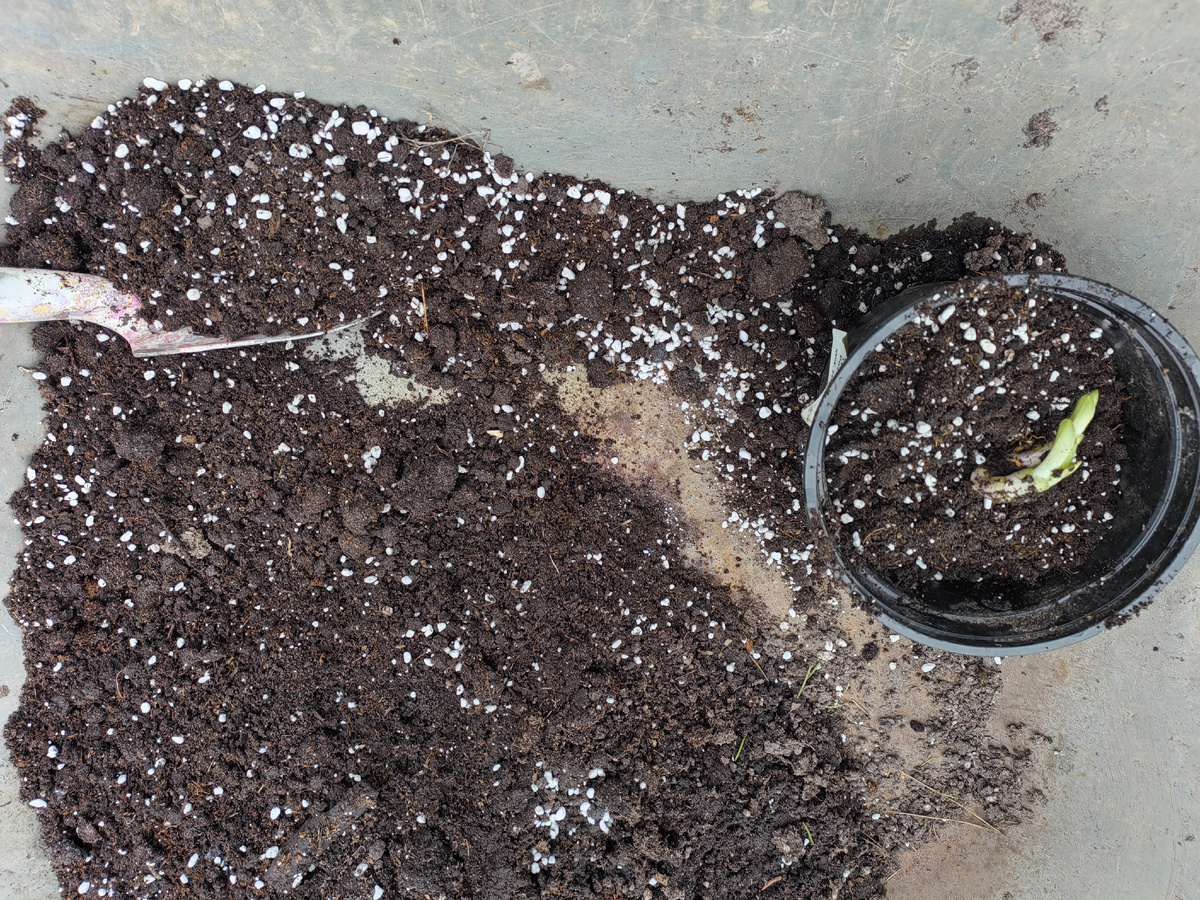 Я готовлю смеси сама. Для малышей - в тазике, для больших - в тачке. 