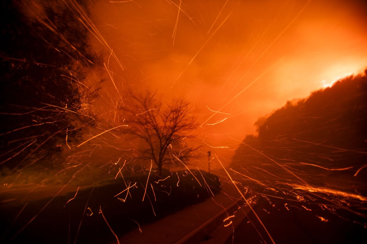     / Источник: © Global Look Press