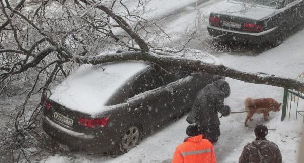    РИА «Новости»