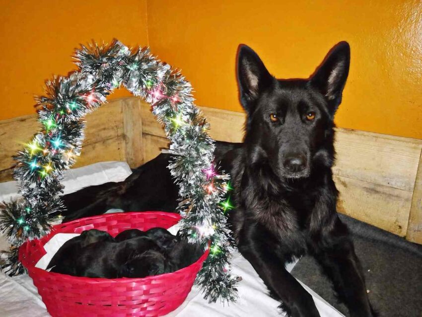    Пресс-служба УФСИН по Воронежской области.