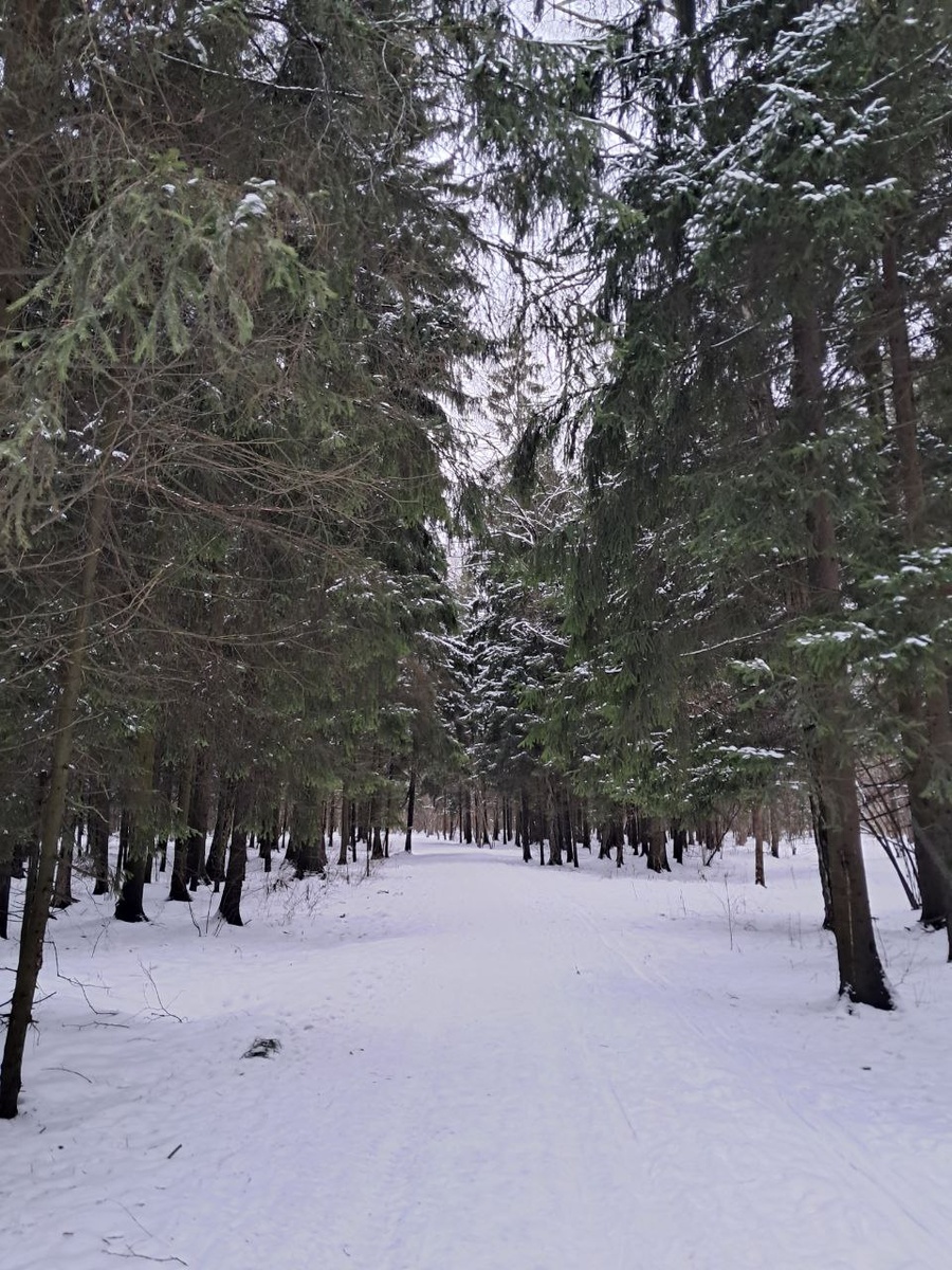 Лепота снежная