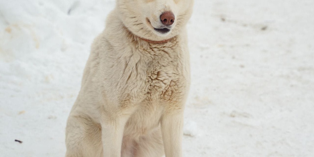Найдёт ли Римма своё счастье?