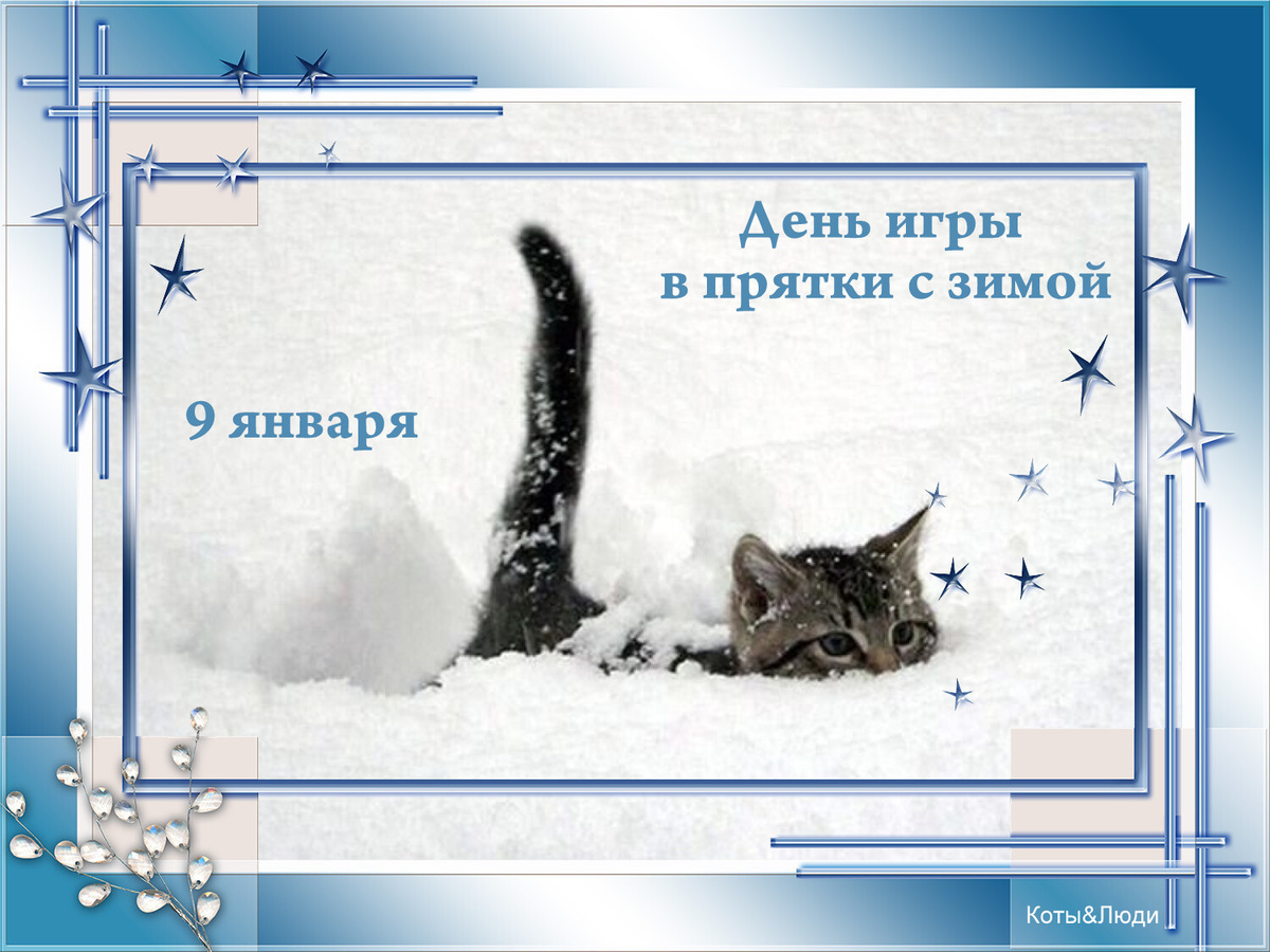 Коллаж автора