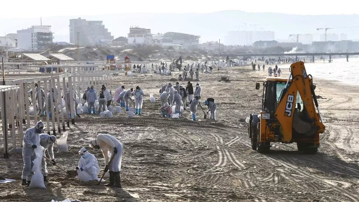     Автор: Оперштаб Кубани