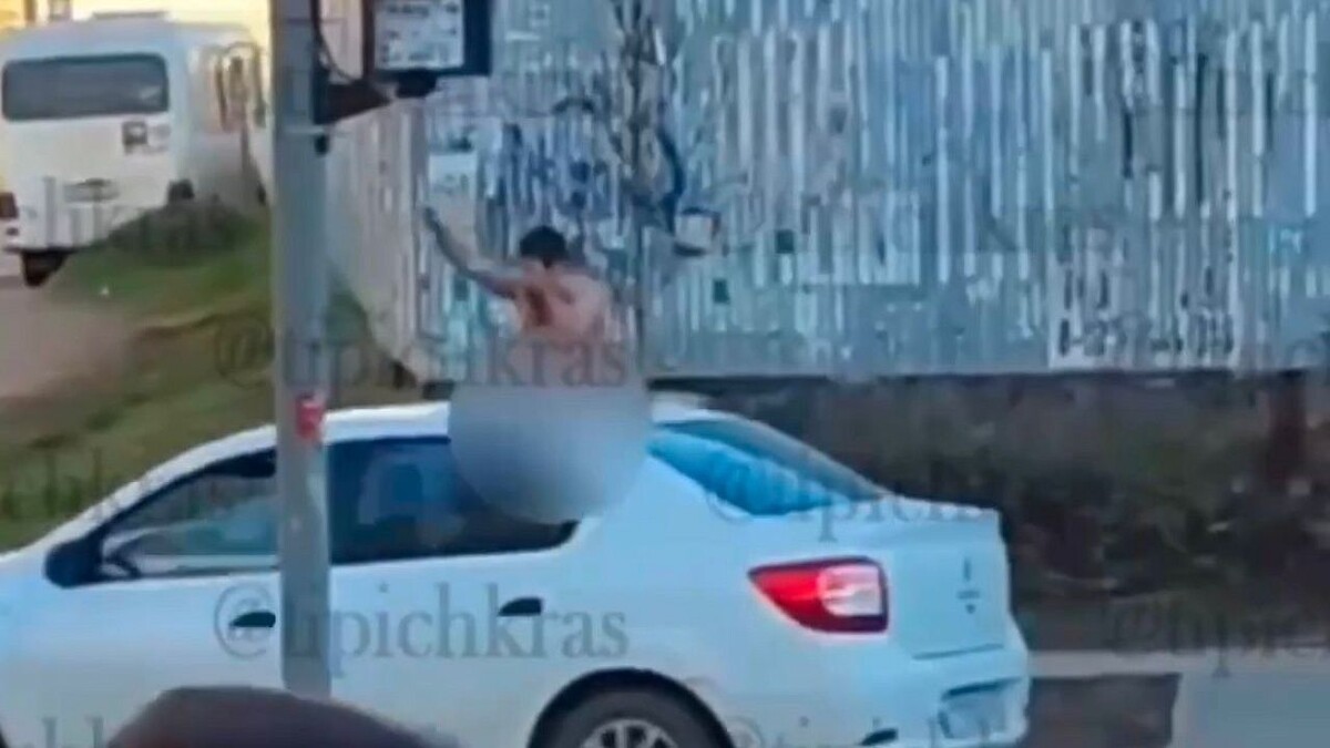    Фото: https://t.me/tipichkras