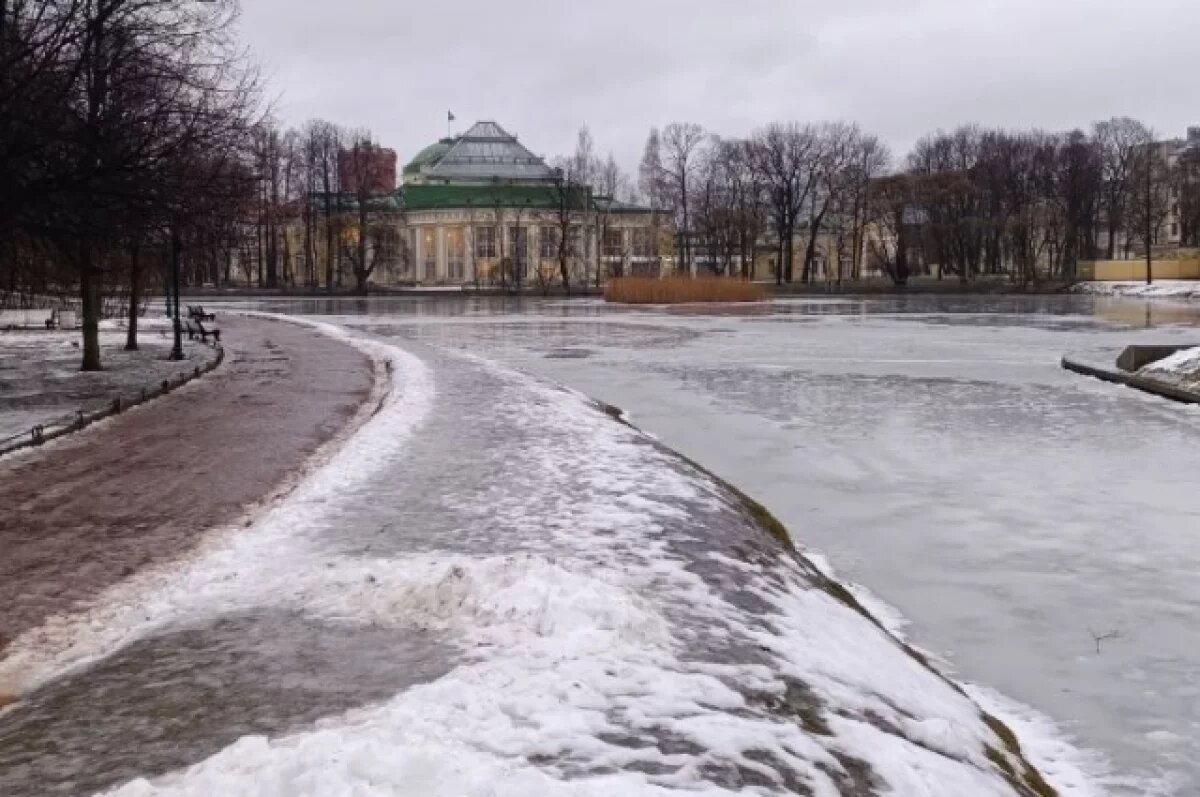    В Тверской области будут несколько дней идти ледяные дожди и мокрый снег