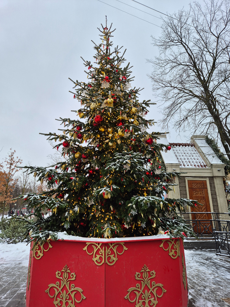 Елка при входе в замок