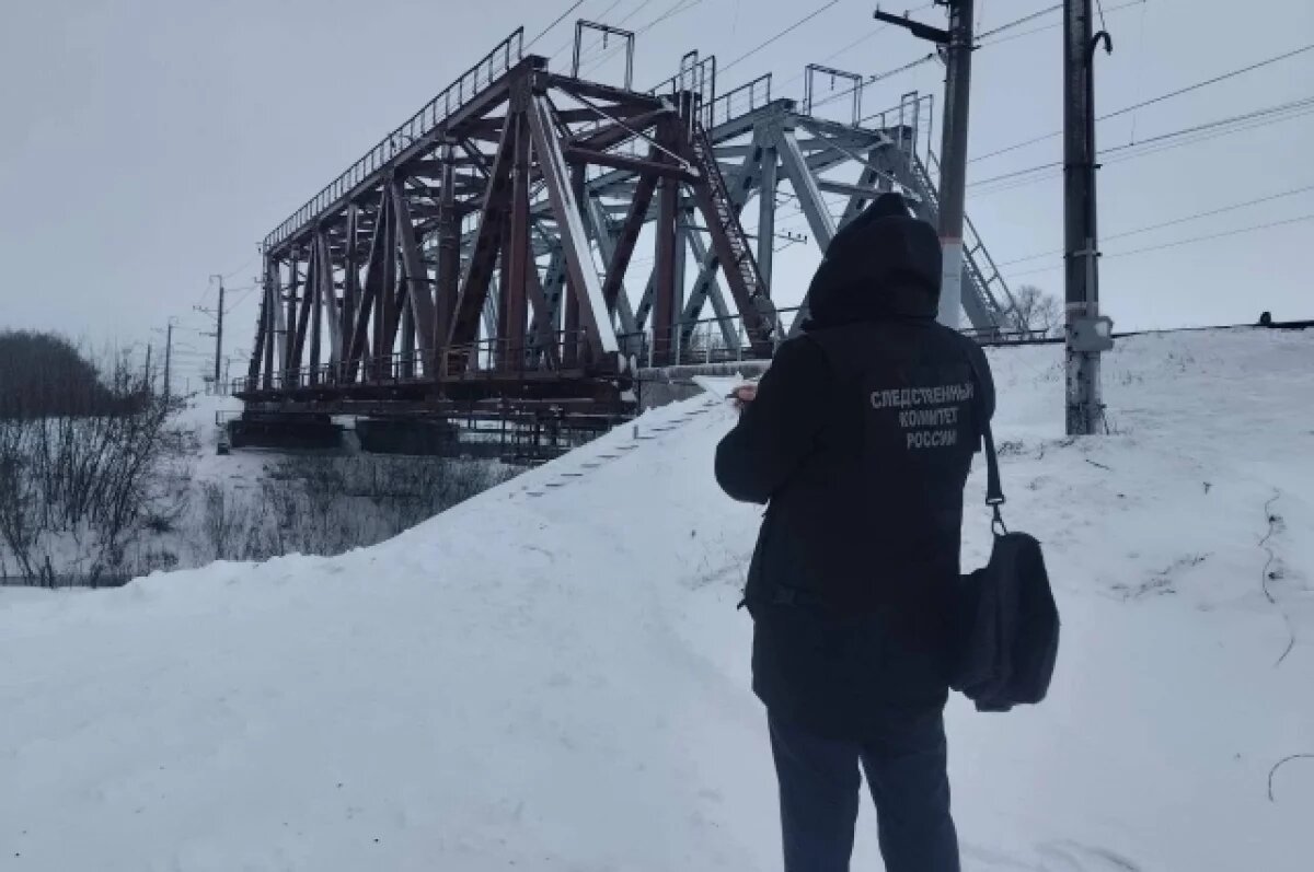    В Самарской области поезд насмерть сбил охранника моста
