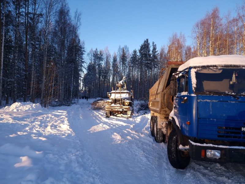    Названа причина вырубки деревьев в Петрозаводске рядом с парком "Патриот"Ирина Яковлева