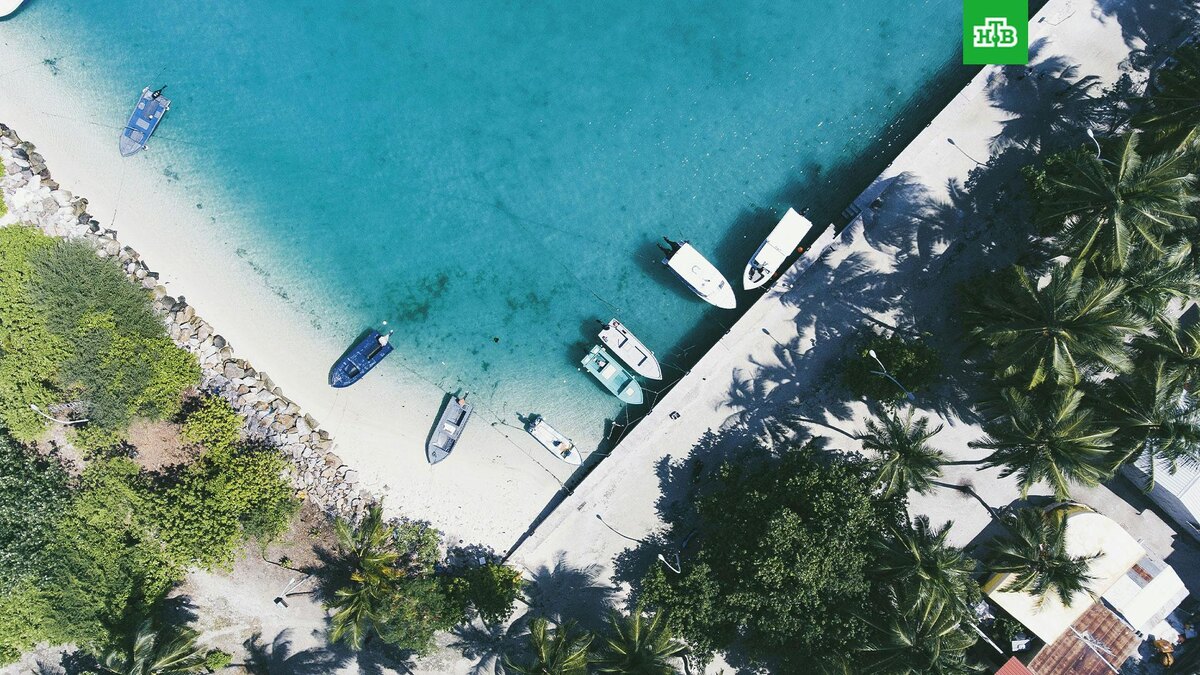    Фото: Saffu / unsplash.com