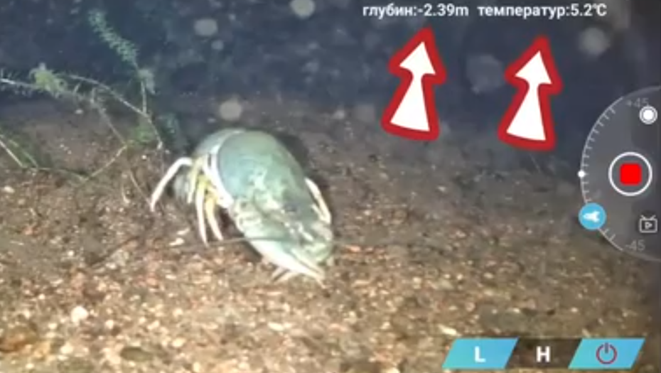    Автор фото: скриншот с видео / vk.com/slava_sdelaet