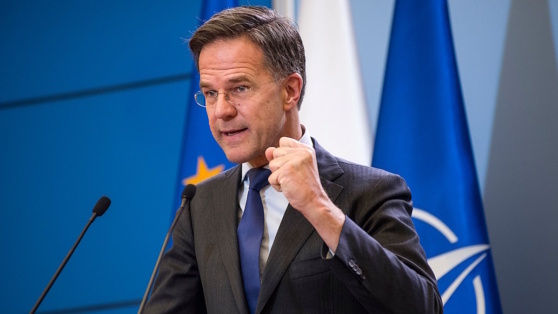    Рютте призвал страны НАТО сделать все возможное для поддержки Украины Виктория Шварц