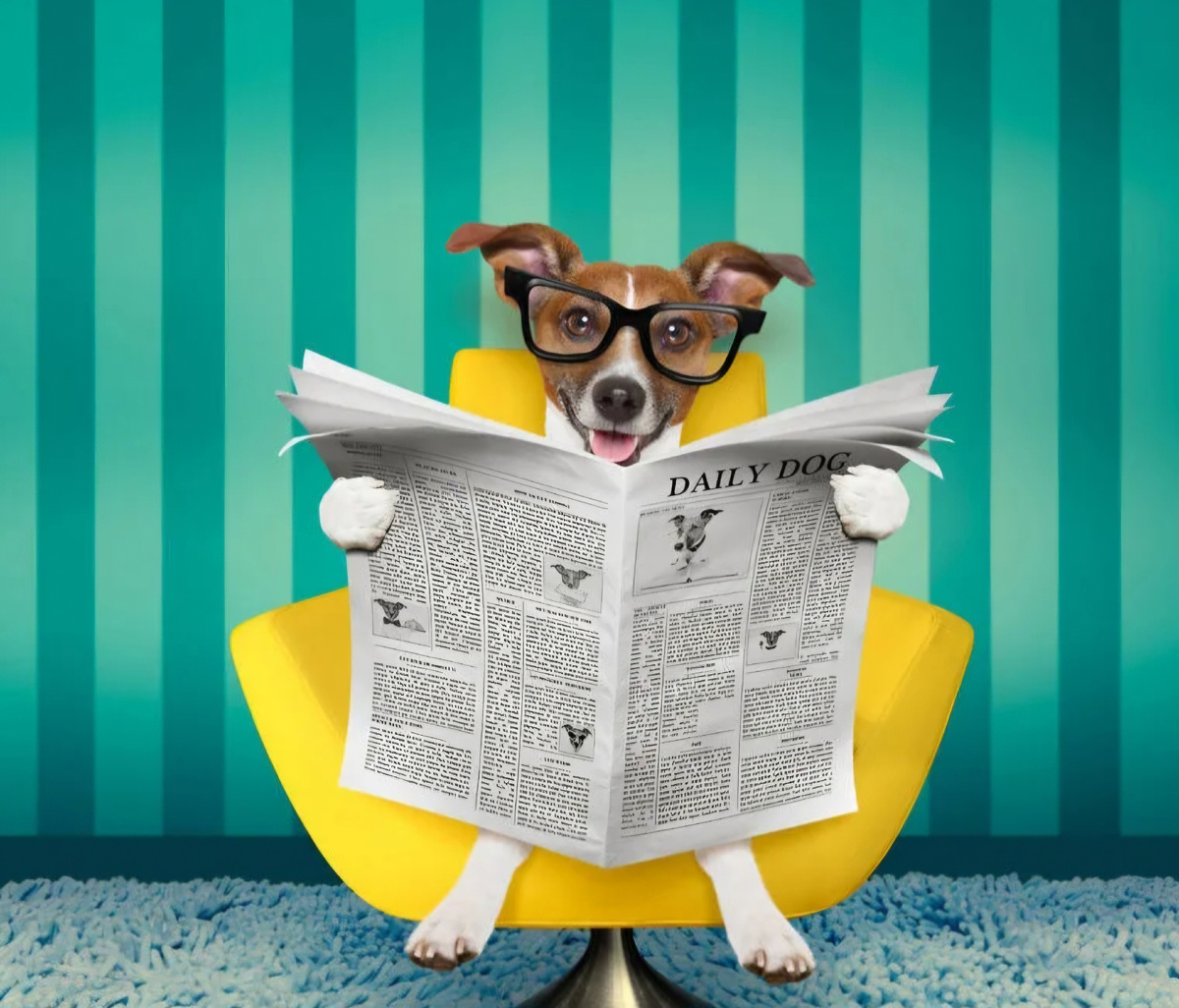 Картинка с сайта https://www.karandash.by/image/design/7565/232.jpg