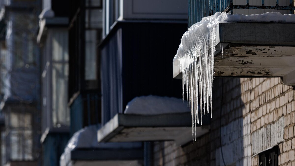    Фото: Sergey Elagin/Business Online/globallookpress.com