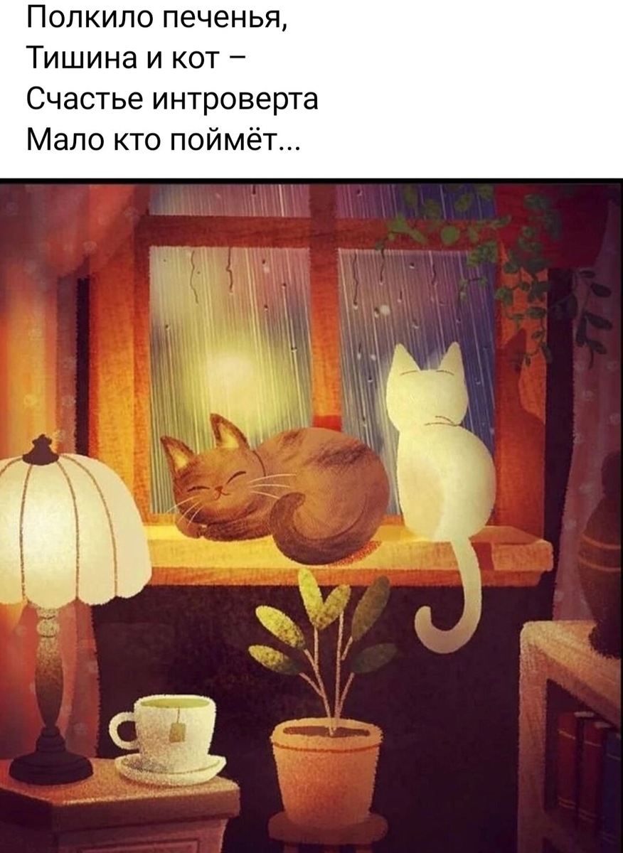 Прямо про меня)) Я домашняя кошечка)) Скрин автора