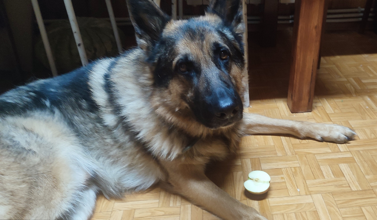 Мясо не буду, даже не уговаривайте... 