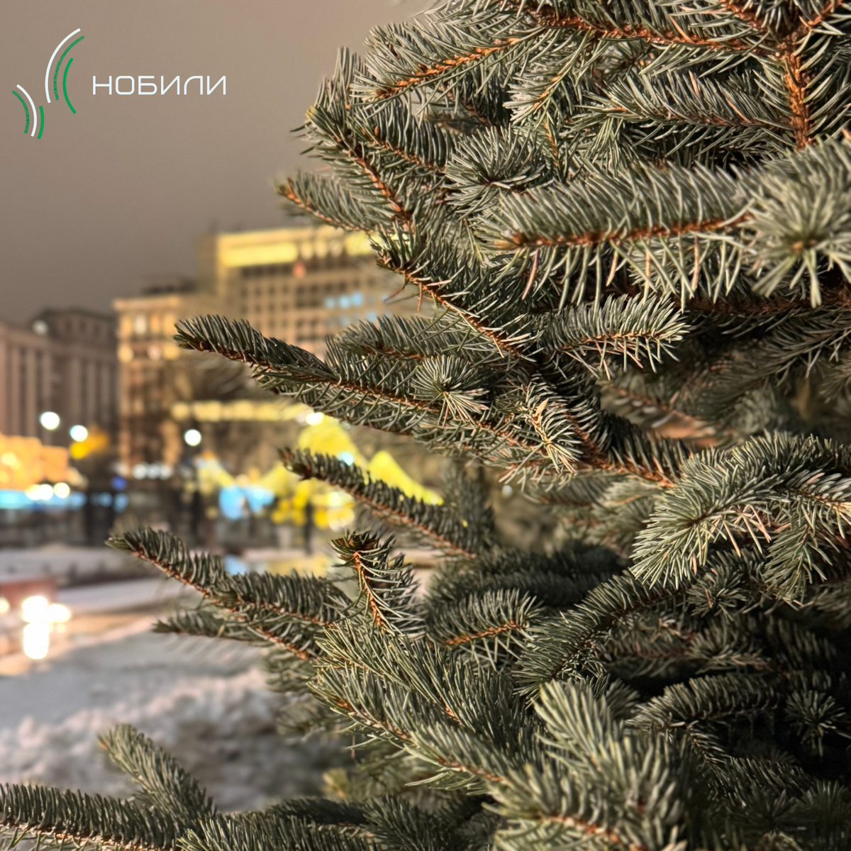 Фото из архива компании «Нобили»